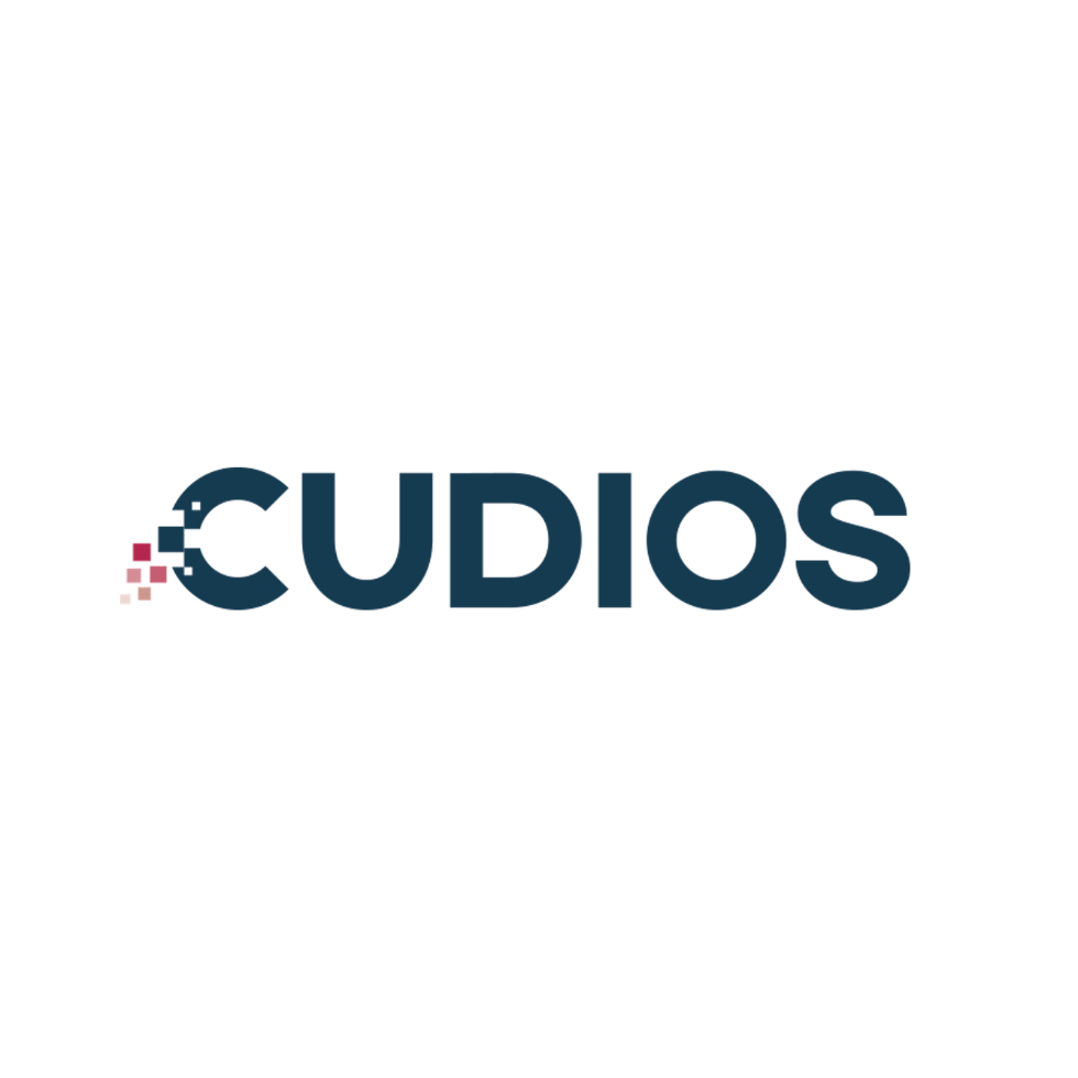 Cudios - project workflow kontrol